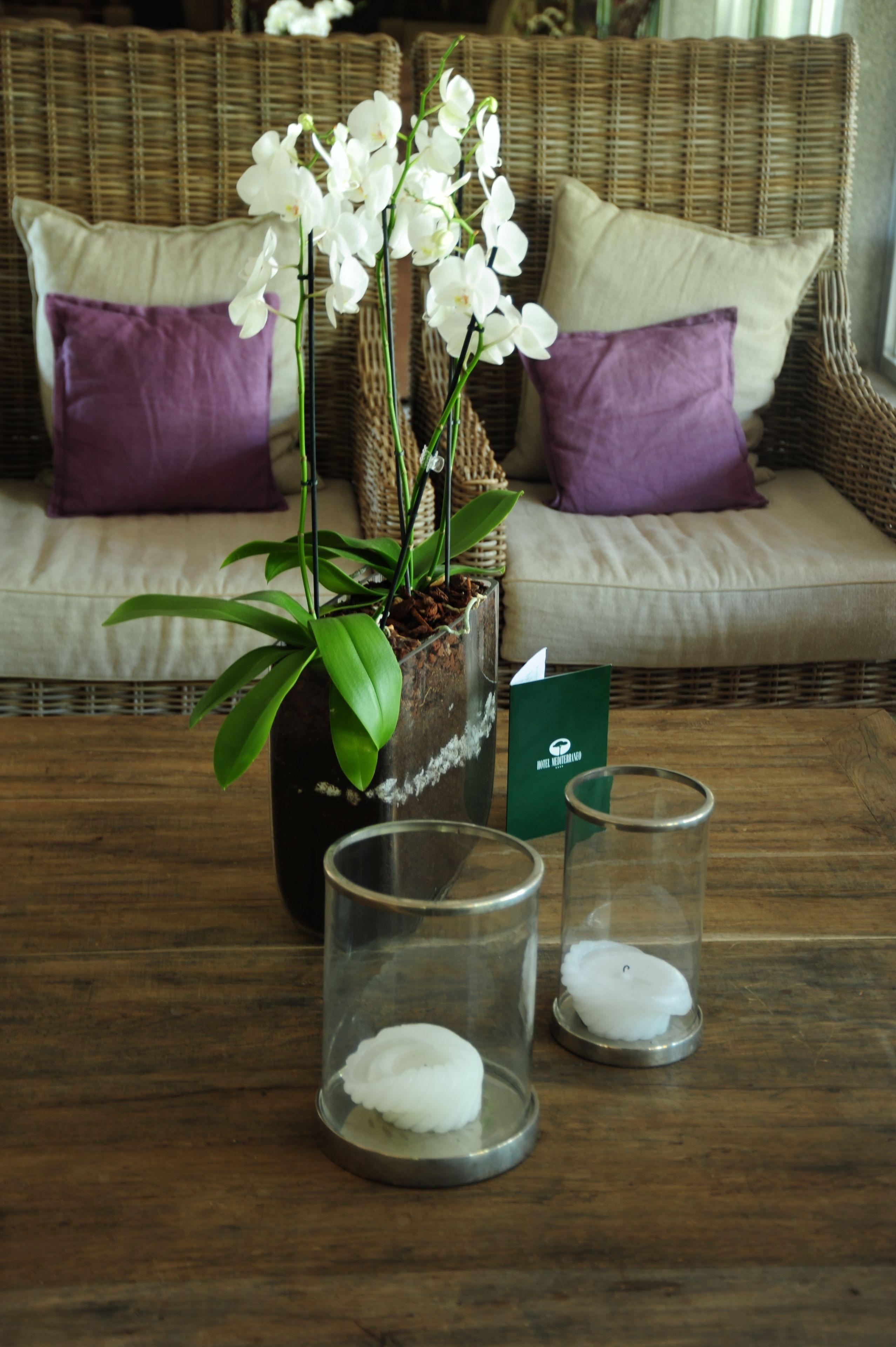 Mediterraneo Suite&residence Hotel