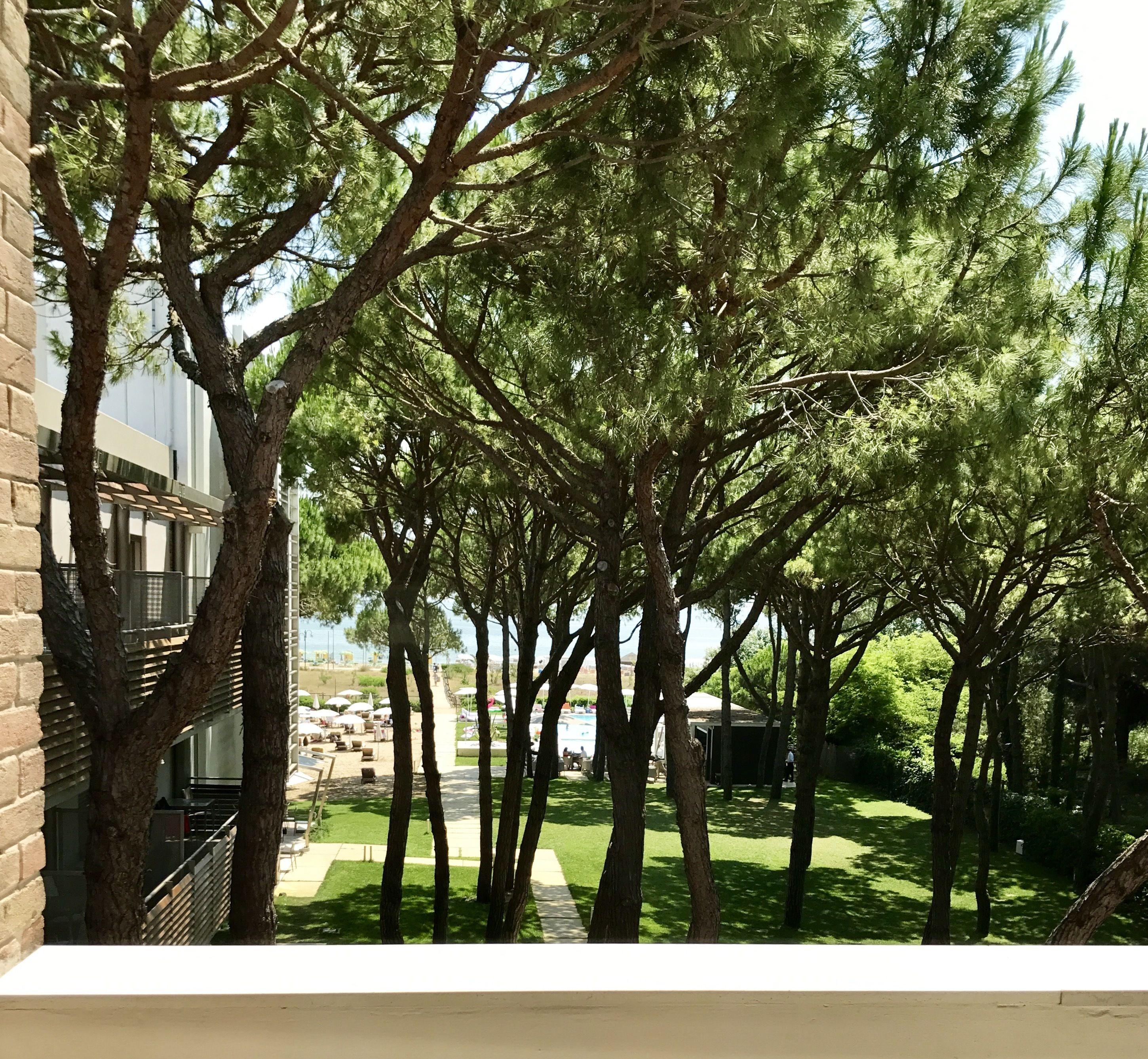 Hotel Mediterraneo Suite&residence Lido di Jesolo