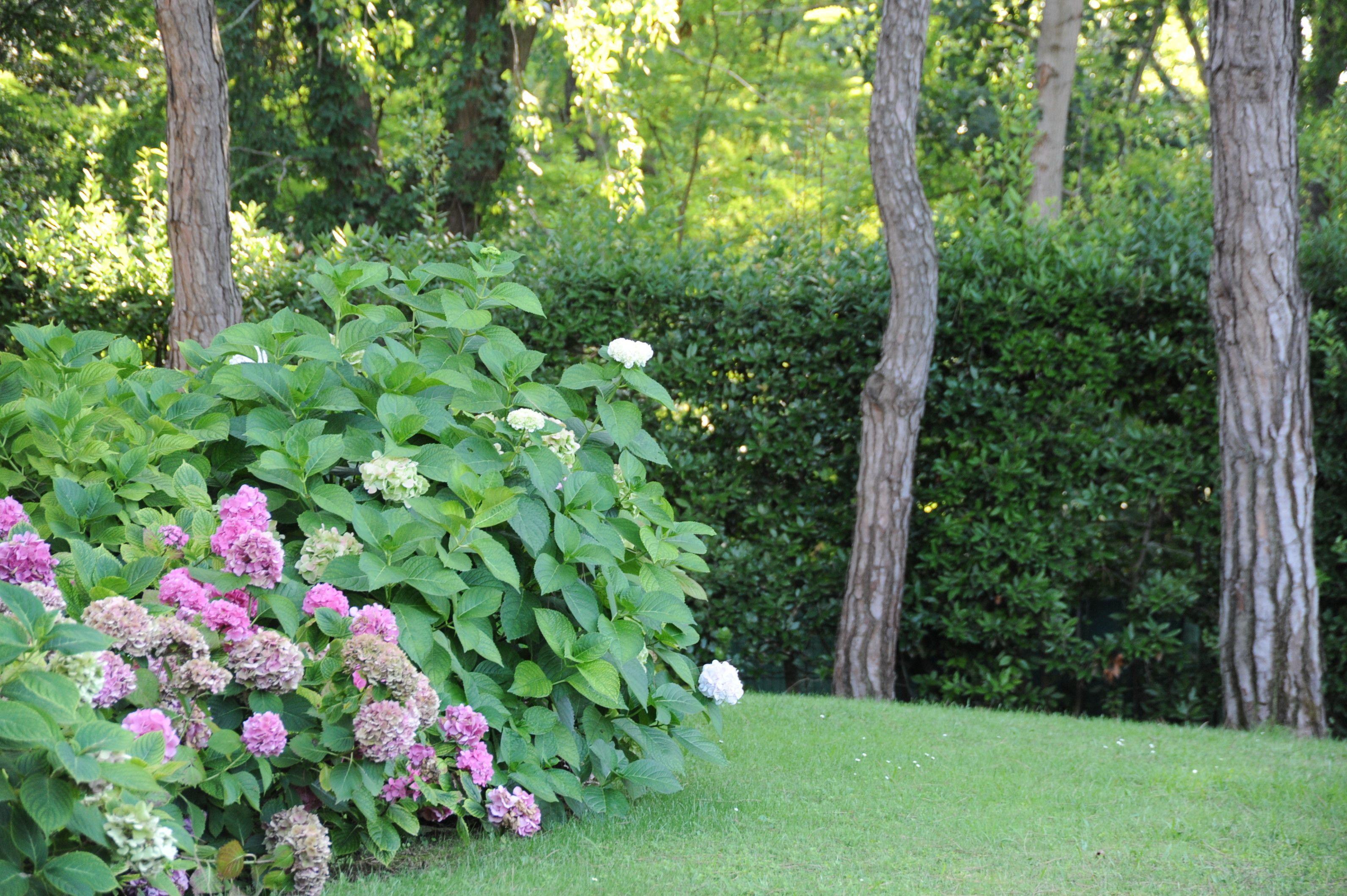 Mediterraneo Suite&residence Hotel